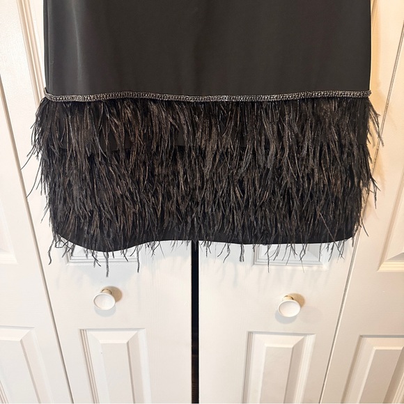 Tahari ASL  Sleeveless Round Neck 100% Ostrich Feather Trim Shift Dress size 8P - Picture 15 of 15
